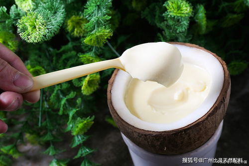 iff t2n 椰奶香精 超前包埋技術,超高性價比,讓你的產(chǎn)品更吃香